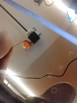 halobabe7620 online show from October 2025 03:35:02 PM