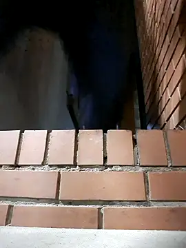 Snapshot of Petrossa chatting on November 2025 12:21:01 AM Petrossa online show from November 2025 12:21:01 AM