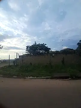 Snapshot of Petrossa chatting on November 2025 04:15:02 AM Petrossa online show from November 2025 04:15:02 AM