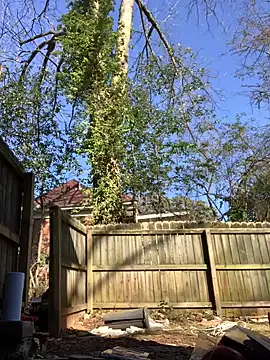 Snapshot of trash4cash chatting on January 2025 08:04:01 PM trash4cash online show from January 2025 08:04:01 PM