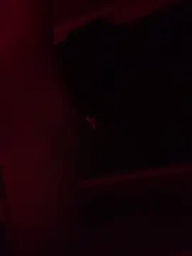 Snapshot of trash4cash chatting on February 2025 11:25:02 PM trash4cash online show from February 2025 11:25:02 PM