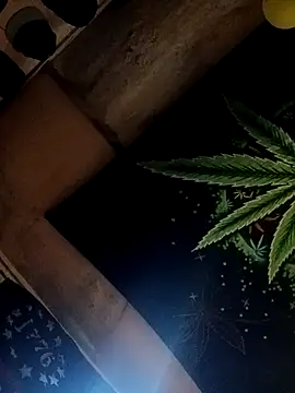 ySqmbVanbe online show from October 2025 02:41:01 PM