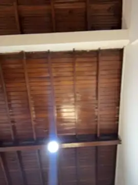 emiss  online show from February 2026 03:59:01 PM