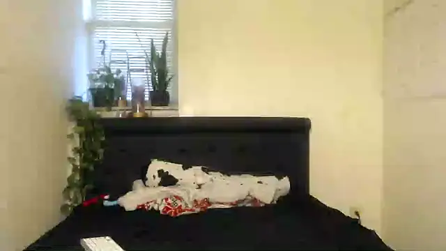 vixenpaisley2 online show from December 2024 03:04:01 AM