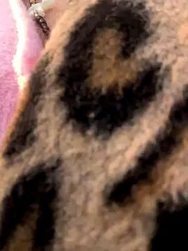 casalinga88 online show from November 2025 07:19:02 AM