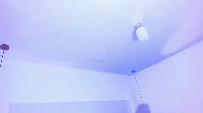 Emily Gil1 online show from March 2025 08:00:02 PM