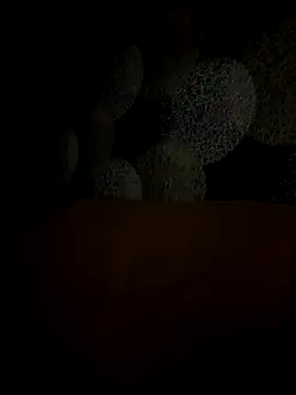 Kristis43 online show from October 2025 05:36:01 PM