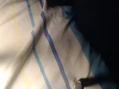 Snapshot of FleshlightFan chatting on November 2025 03:54:01 PM FleshlightFan online show from November 2025 03:54:01 PM