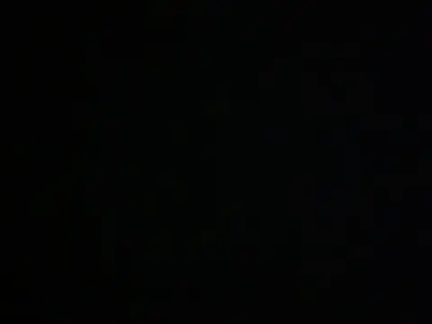 Snapshot of Polya01 chatting on March 2025 11:52:01 AM Polya01 online show from March 2025 11:52:01 AM