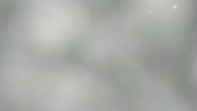 BarbaraTurners online show from October 2025 11:33:01 AM