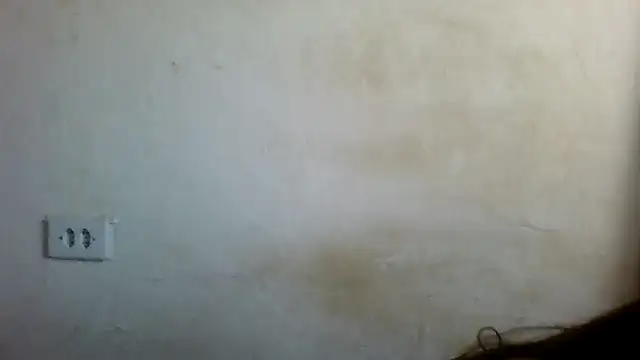 By Aninha online show from February 2025 06:08:02 PM