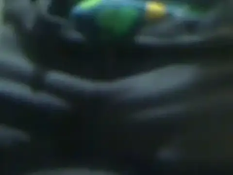 markluvskitty online show from March 2025 01:24:01 PM