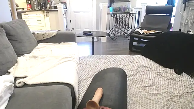 Snapshot of AssmannCD chatting on February 2025 01:22:02 PM AssmannCD online show from February 2025 01:22:02 PM