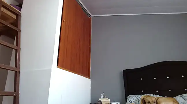 Emilia 1995 online show from February 2025 12:42:01 PM