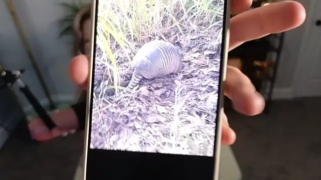 rodeobrii online show from November 2025 03:34:01 AM