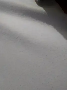  Miaaleon online show from November 2025 10:43:02 AM