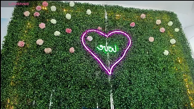 emy 0 online show from January 2025 06:09:01 AM