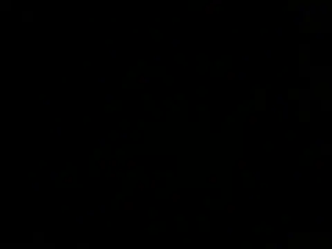 ArtemMR online show from December 2024 10:34:02 PM