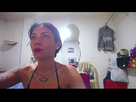 harry lia  online show from December 2025 07:45:02 PM