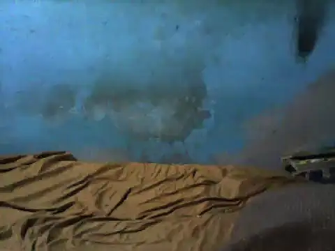 little  joy online show from March 2025 02:37:02 AM