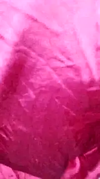 Kitty Doll69 online show from November 2025 07:46:02 PM