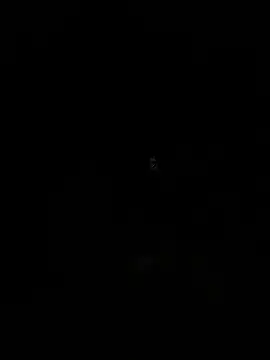 emea4 online show from December 2025 01:12:02 AM