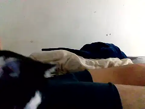 yass56789 online show from November 2025 11:54:02 PM