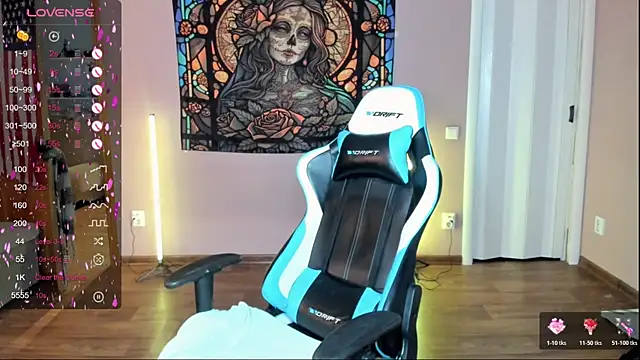 Project hisoka online show from December 2025 02:00:02 PM