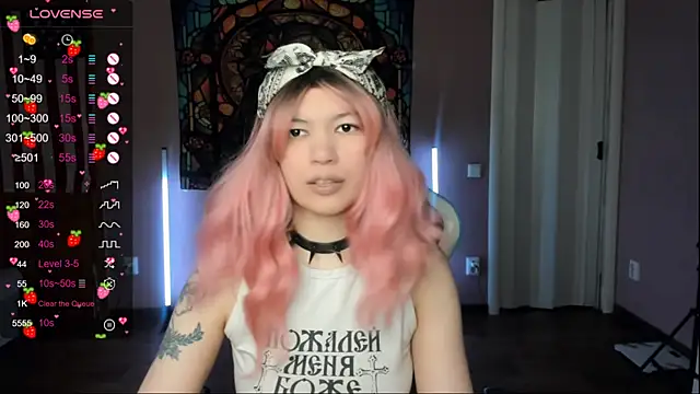 Project hisoka online show from February 2026 04:20:01 AM