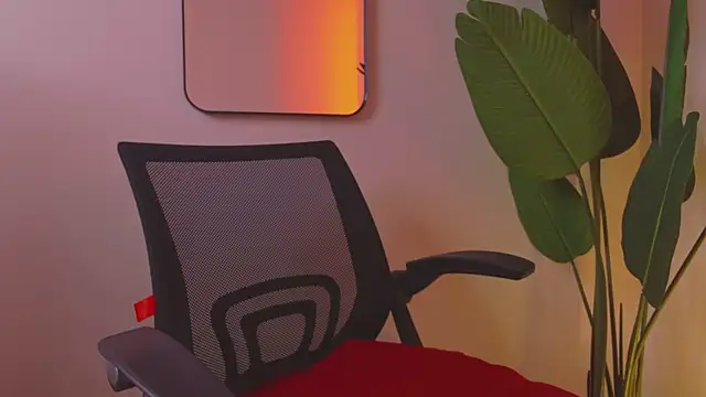 Whitney Svonn online show from March 2025 04:07:02 PM