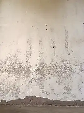 Yasha 14C Creator online show from November 2025 07:19:01 AM