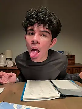 Stickmen online show from December 2024 03:45:01 AM