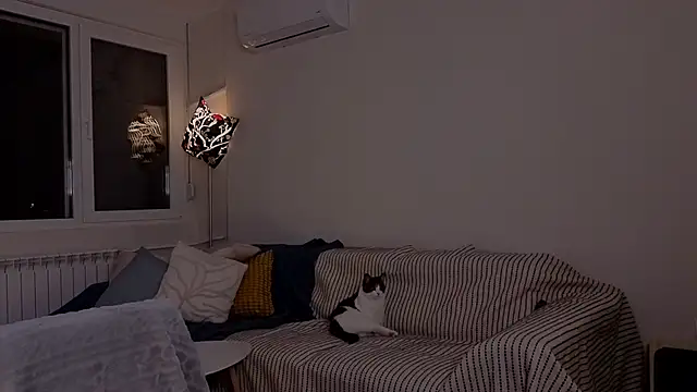 amber quell here online show from November 2025 05:13:02 PM