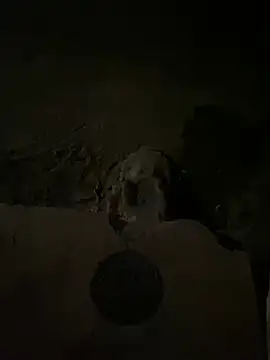 Snapshot of nowex18 chatting on March 2025 05:48:02 AM nowex18 online show from March 2025 05:48:02 AM