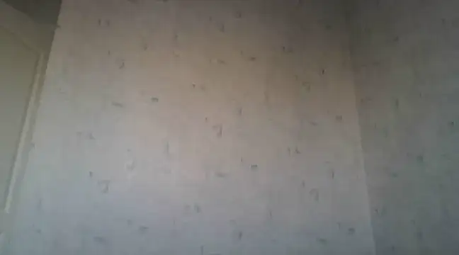 AngelinaLove28 online show from March 2025 12:19:02 PM