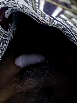 Snapshot of Sweety_Tamil_boy chatting on December 2024 06:54:02 PM Sweety Tamil boy online show from December 2024 06:54:02 PM