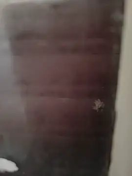 Snapshot of hardgetsex chatting on September 2025 09:08:02 PM hardgetsex online show from September 2025 09:08:02 PM