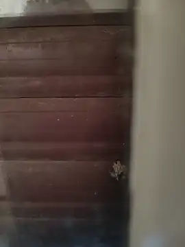 Snapshot of hardgetsex chatting on October 2025 04:05:02 PM hardgetsex online show from October 2025 04:05:02 PM