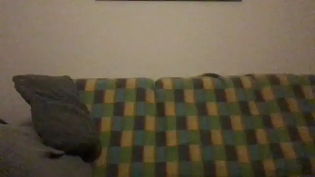 Snapshot of Totipro69 chatting on December 2024 10:19:01 PM Totipro69 online show from December 2024 10:19:01 PM