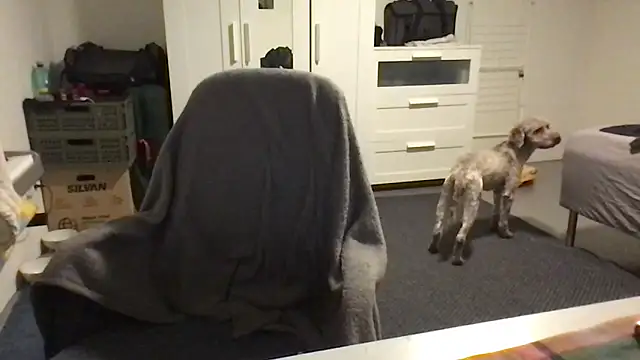 Snapshot of Totipro69 chatting on February 2025 07:05:02 PM Totipro69 online show from February 2025 07:05:02 PM