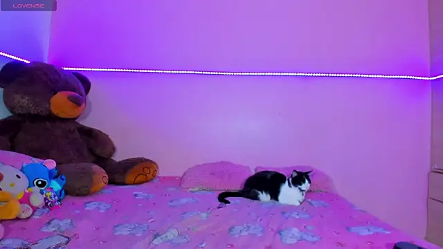 Canndy88htxx online show from December 2025 12:49:02 AM