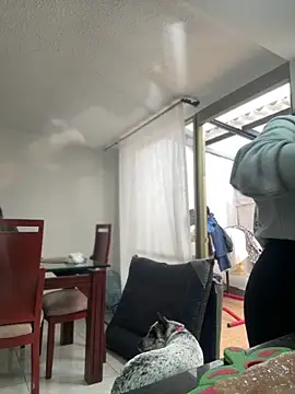 Salome golvert online show from March 2026 08:37:01 PM