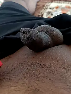 Snapshot of sat_1234 chatting on December 2024 08:52:02 AM sat 1234 online show from December 2024 08:52:02 AM