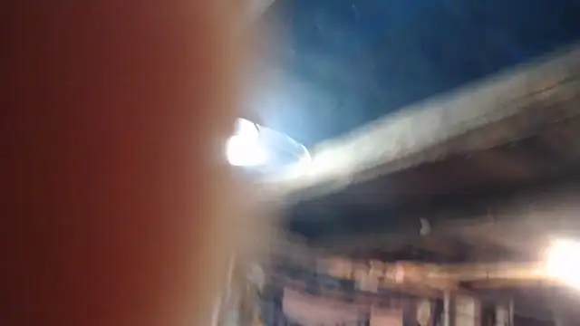 Newfiesausage1972 online show from February 2026 09:27:02 PM