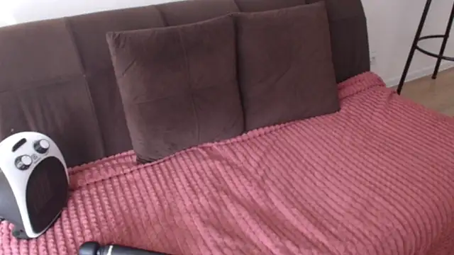 alice inspires online show from March 2025 01:29:01 PM