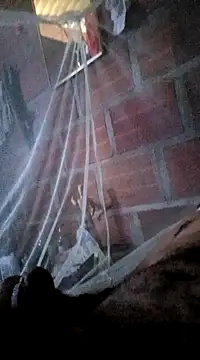 Janle 19c online show from January 2025 07:06:02 PM