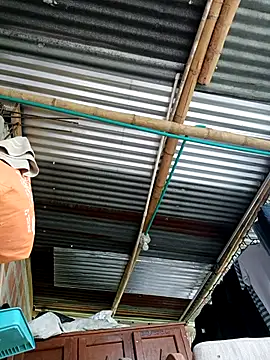 Janle 19c online show from September 2025 08:08:02 PM