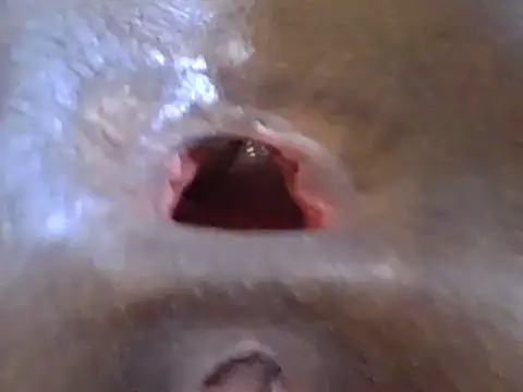 petitev online show from December 2024 12:33:01 PM