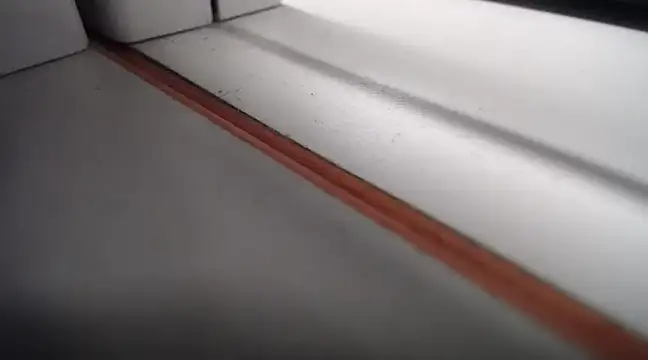 Snapshot of Lovensetest chatting on February 2025 01:52:02 AM Lovensetest online show from February 2025 01:52:02 AM