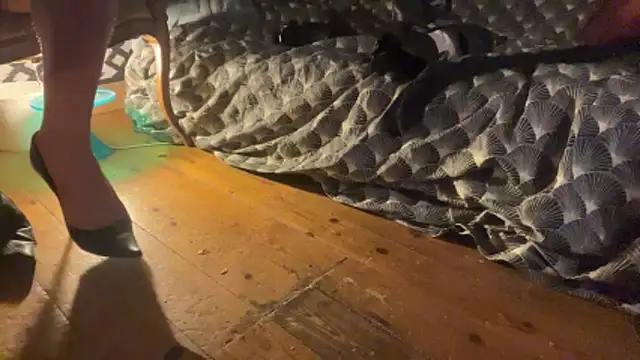 alexheels boots online show from December 2025 02:41:02 AM